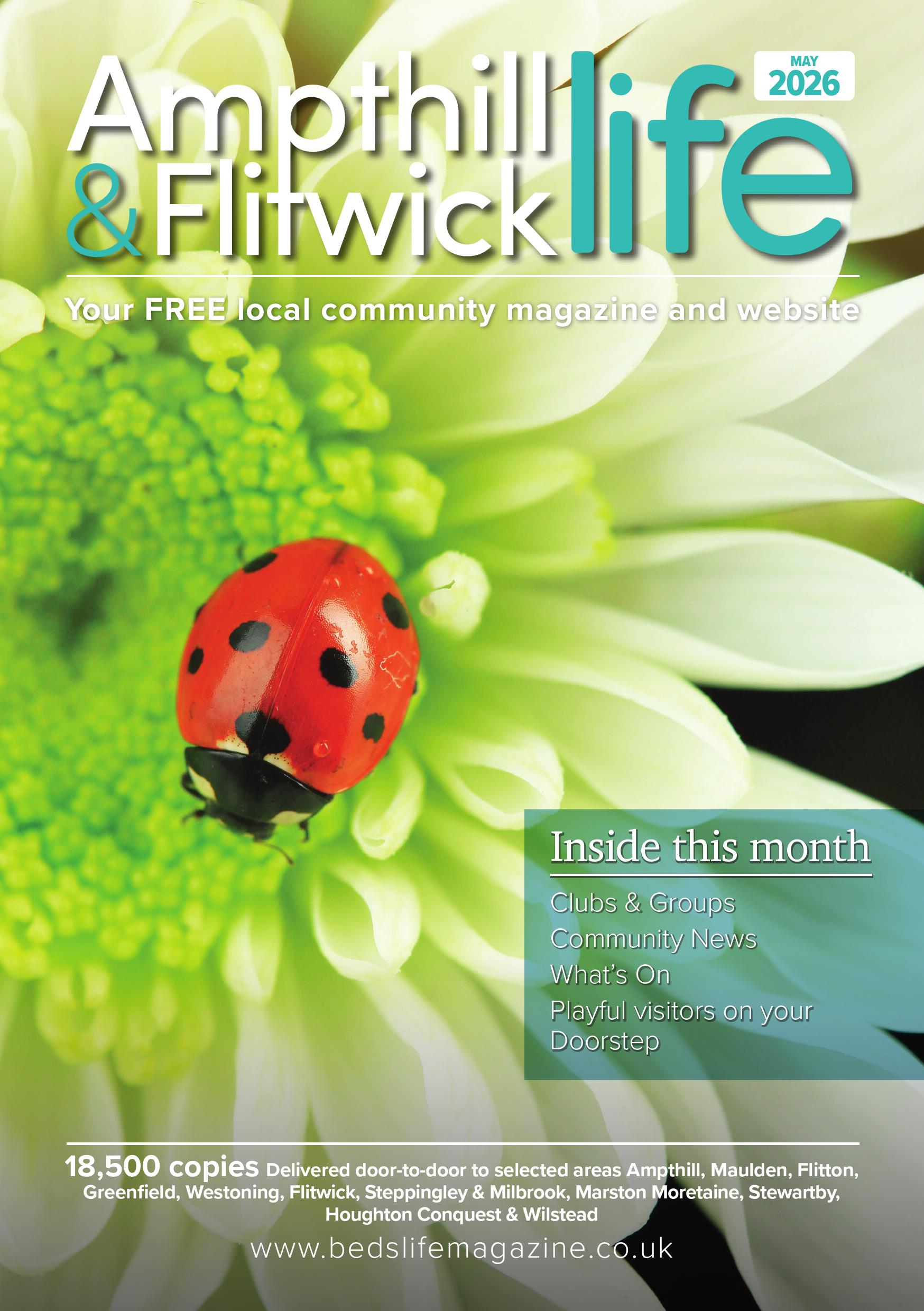 Bedslife magazine latest issue