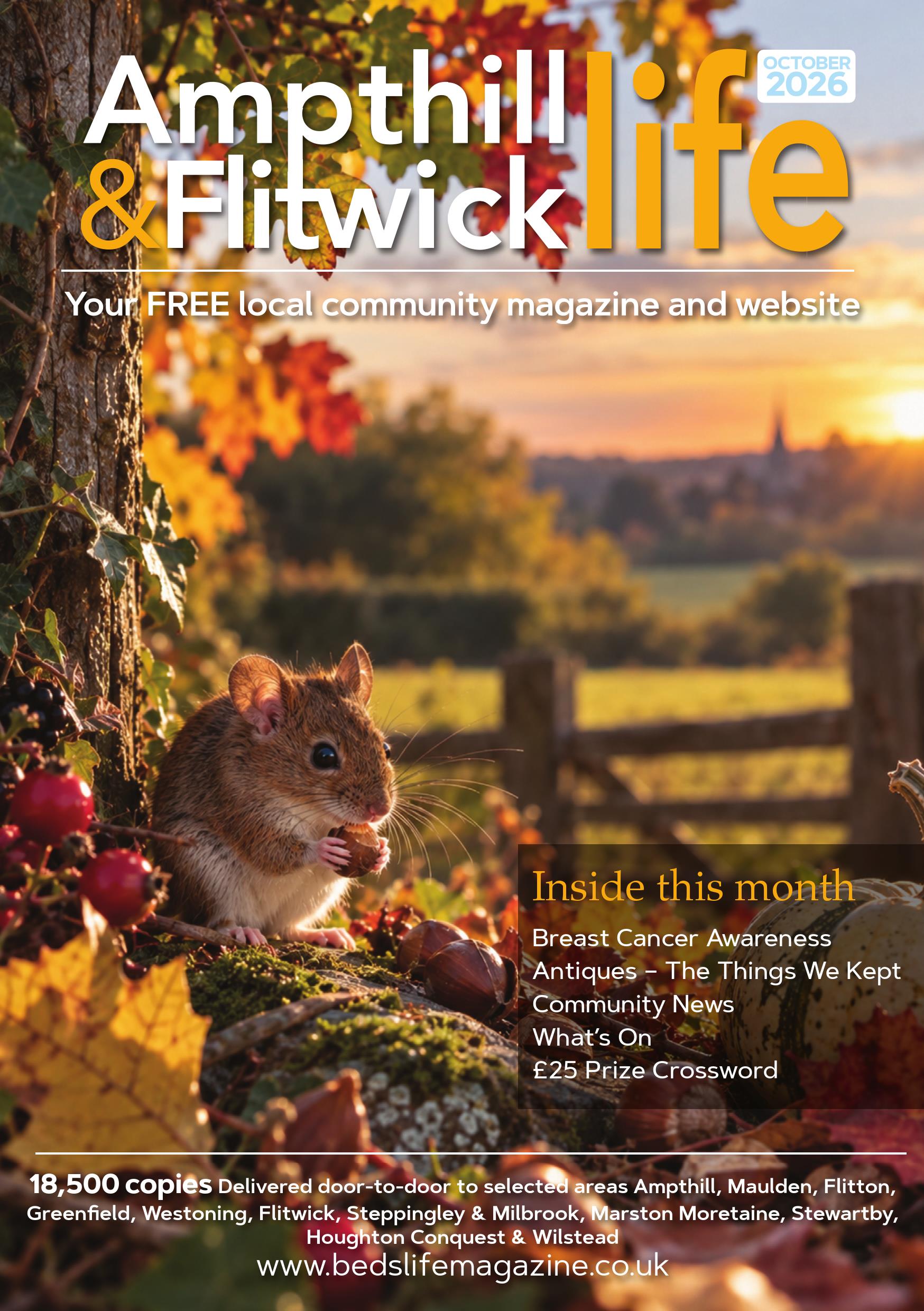Bedslife magazine latest issue